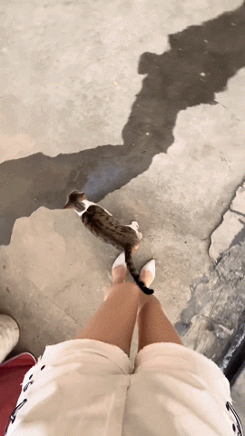 对不起，晕腿！